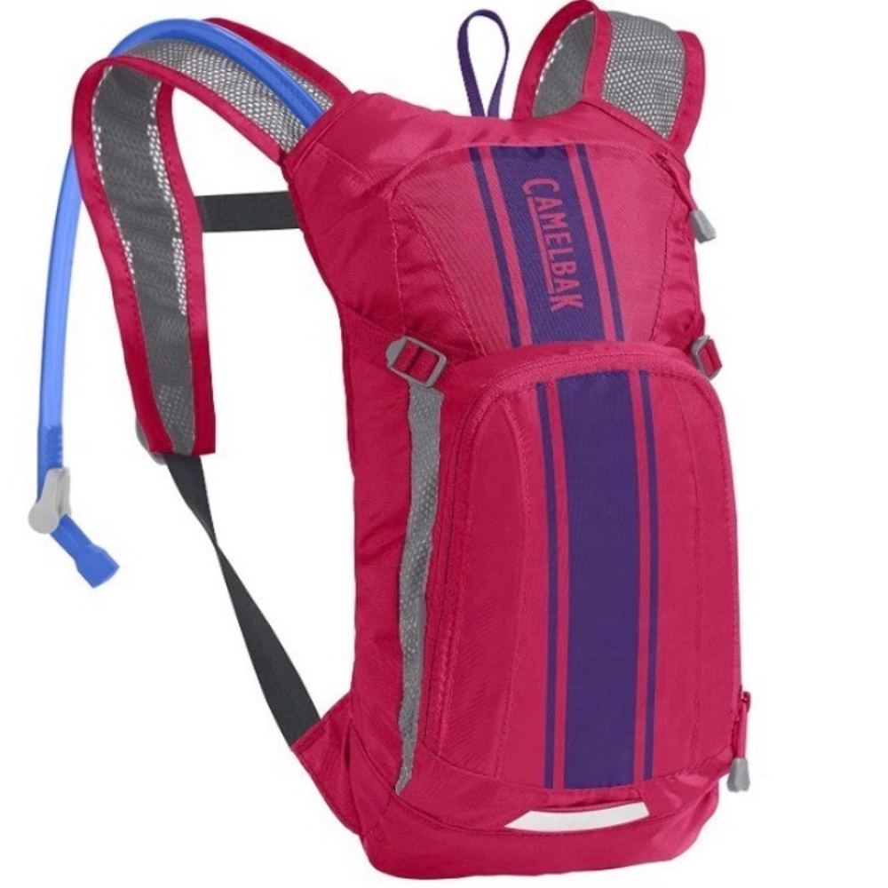 CamelBak Pink and Purple Kids' Hydration Pack